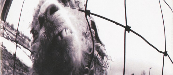 1539943565be800564110fe2b9470dcbcc1b3ca57f